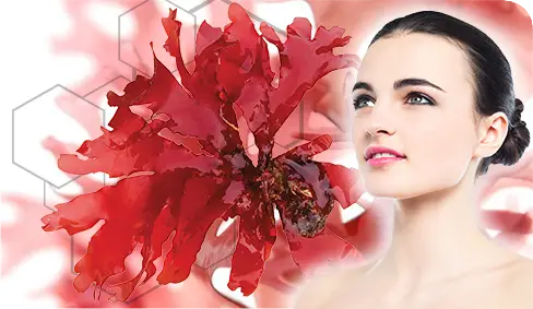 "Astaxanthin" is a super antioxidant that nourishes the eyes and skin!!